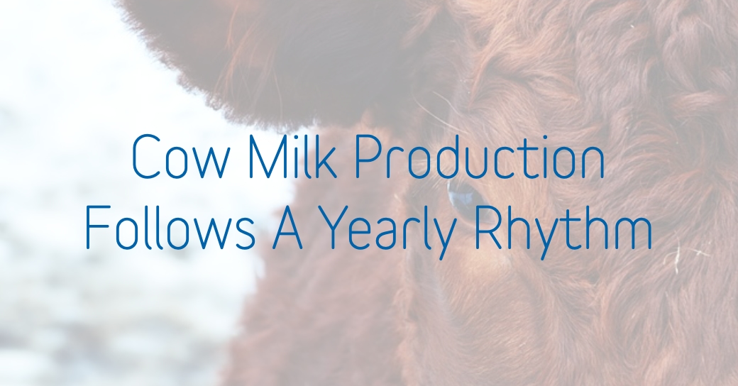 Milk Production Follows A Yearly Rhythm In Dairy Cows